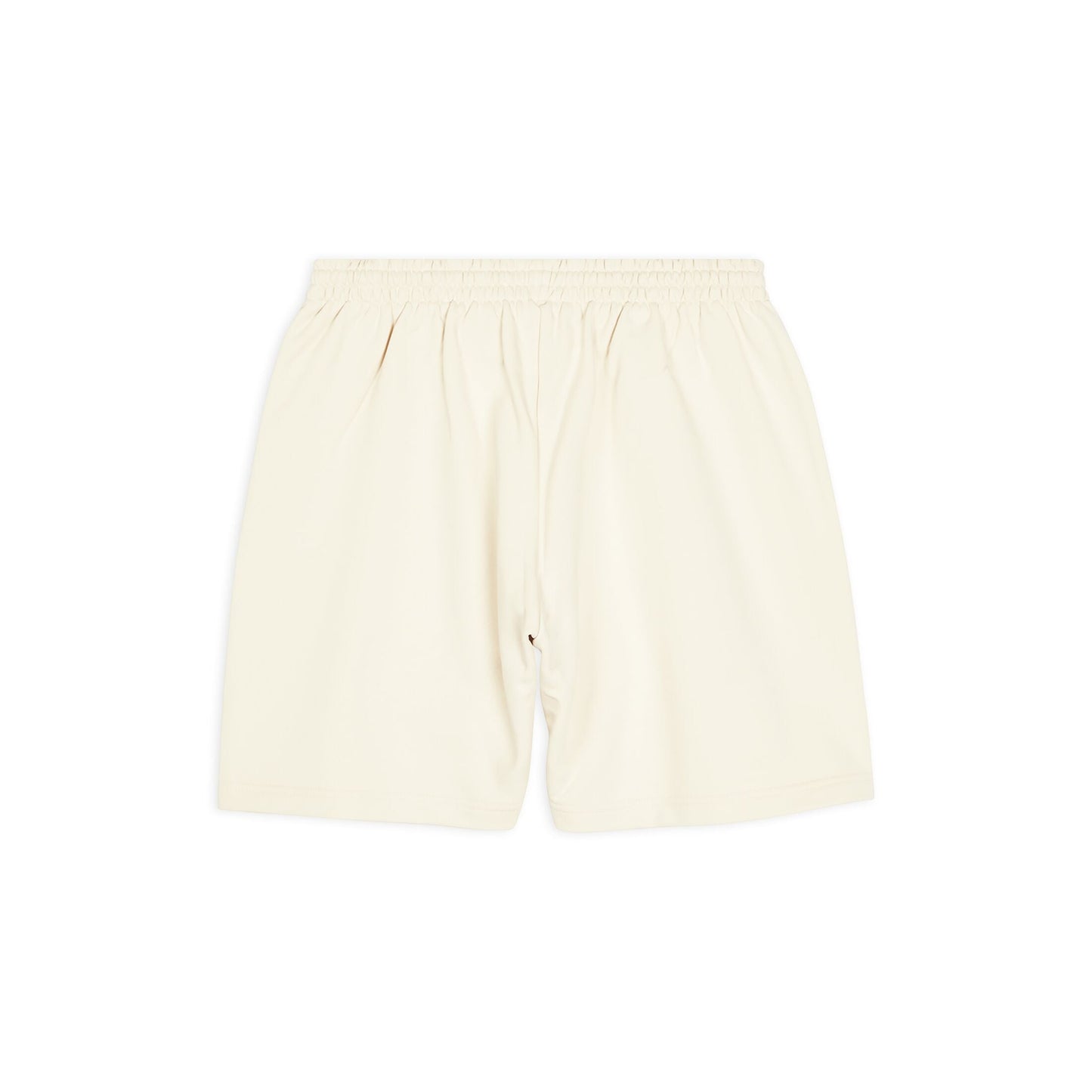 POLITICAL CAMPAIGN SHORTS